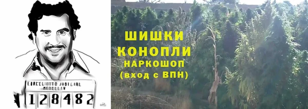 гидра Армянск