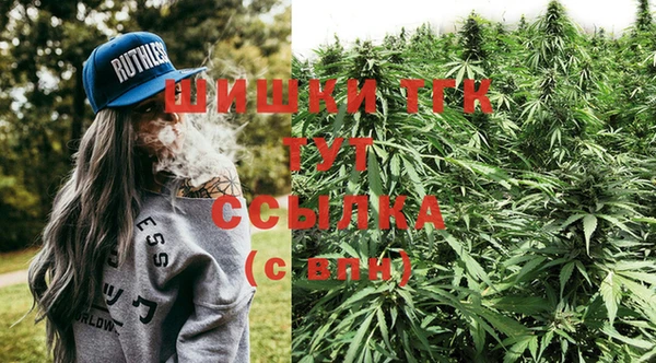 гидра Армянск