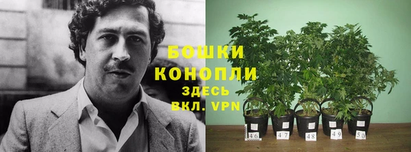гидра Армянск