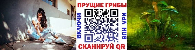Псилоцибиновые грибы прущие грибы  Соликамск 