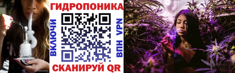 где можно купить   Соликамск  Бошки Шишки сатива 